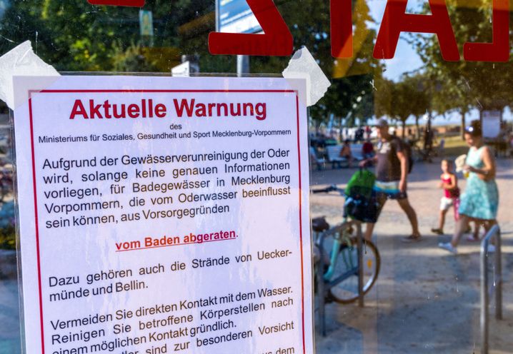 Badewarnung am Stettiner Haff: Verunsicherte Urlauber