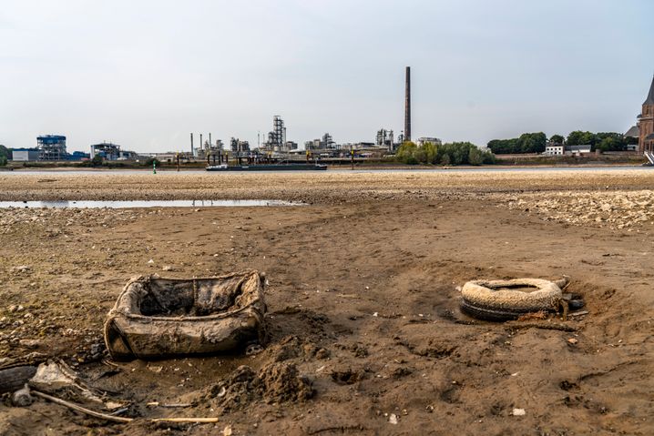 Rhein mit Niedrigwasser bei Emmerich